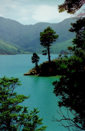 Nieuw Zeeland, Queen Charlotte sound (1998)